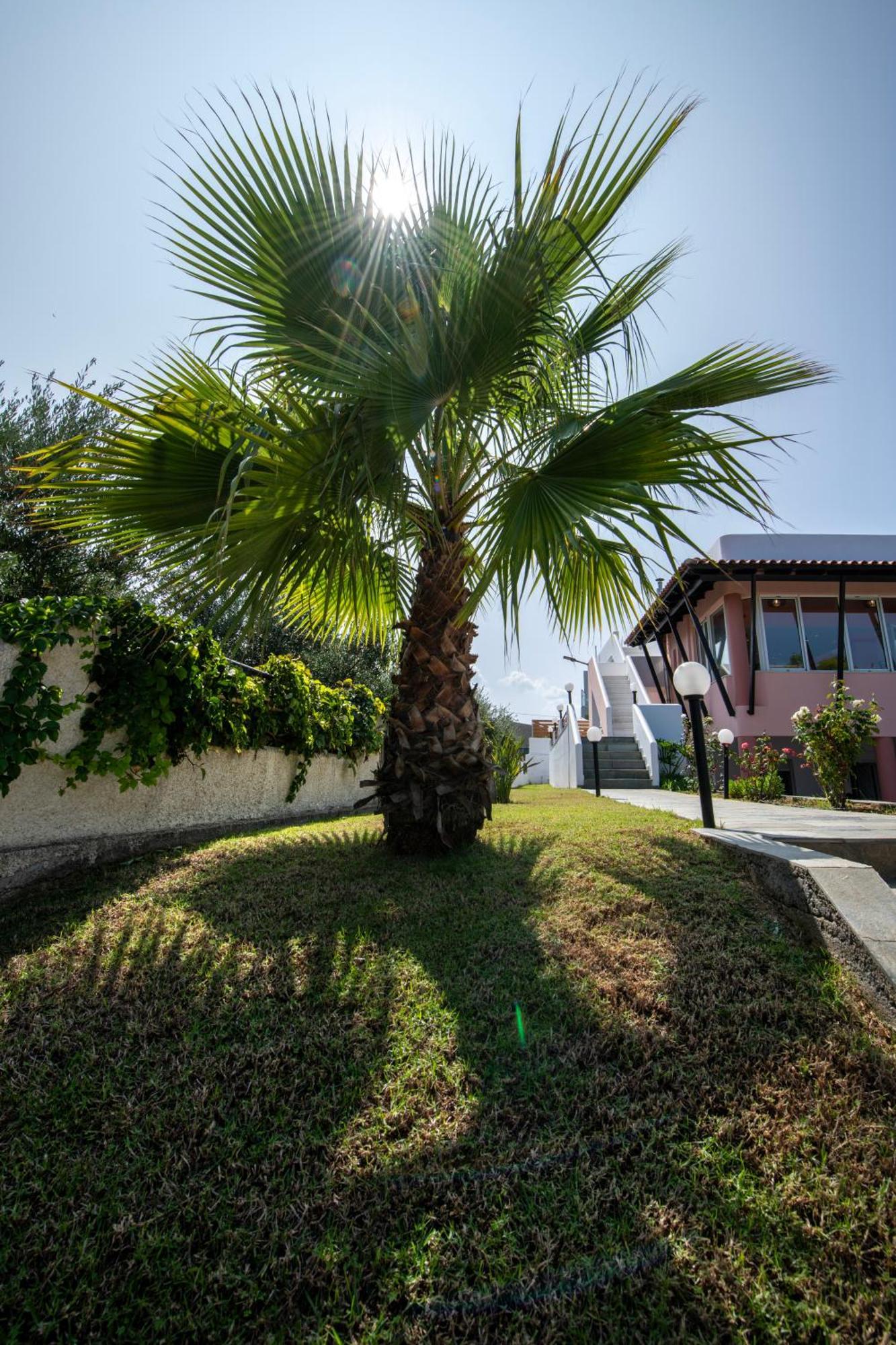 Villa Eleni 100M From The Sea Rapanianá Exterior foto
